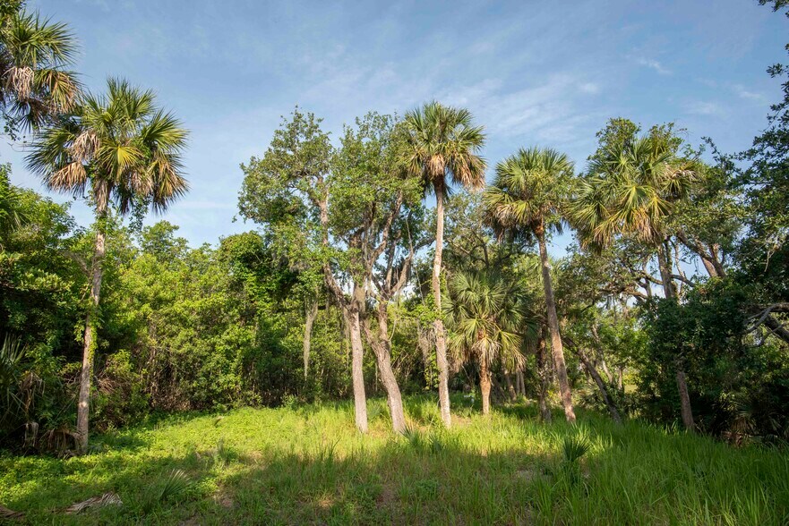 More Photos Of 2135 Florida A1A, Vero Beach Land For Sale
