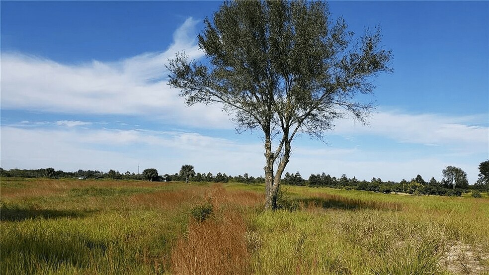 More Photos Of 14255 113th St, Fellsmere Land For Sale