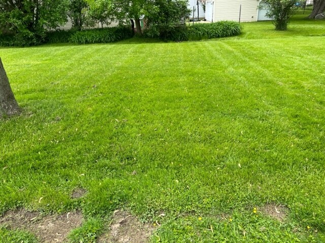 More Photos Of 342 Cayuga Rd, Cheektowaga Apartments For Sale