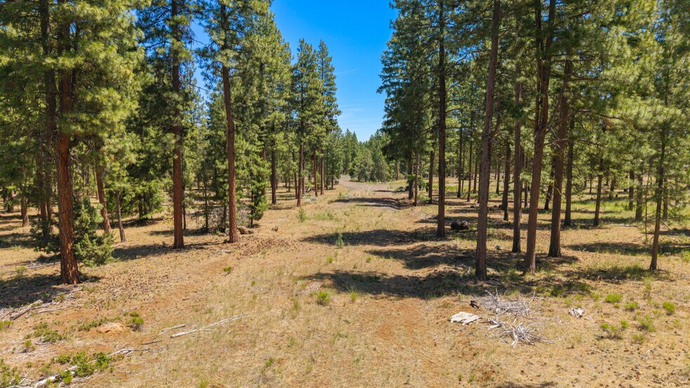 More Photos Of 0 Blue Wing Street, Keno Land For Sale