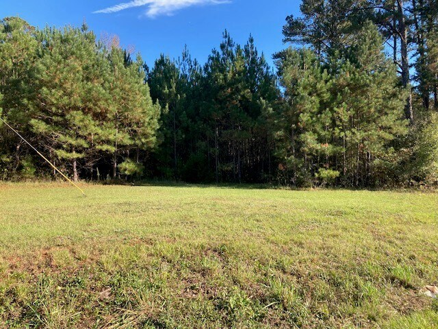 More Photos Of Kia Blvd @ Sandtown Rd, Lagrange Land For Sale