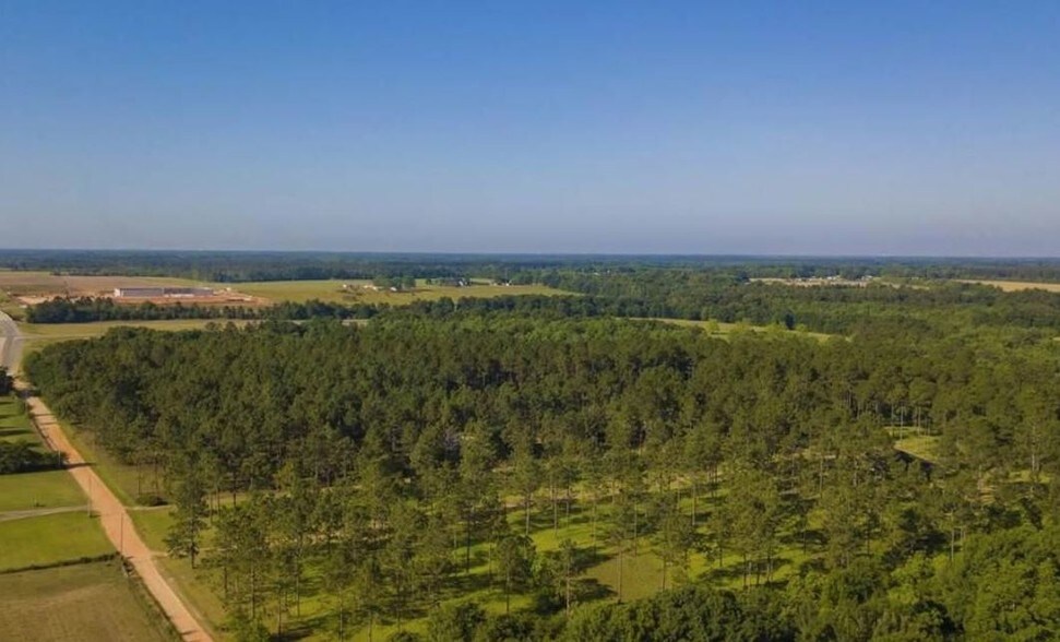 More Photos Of 28645 Rose Run Rd, Robertsdale Land For Sale