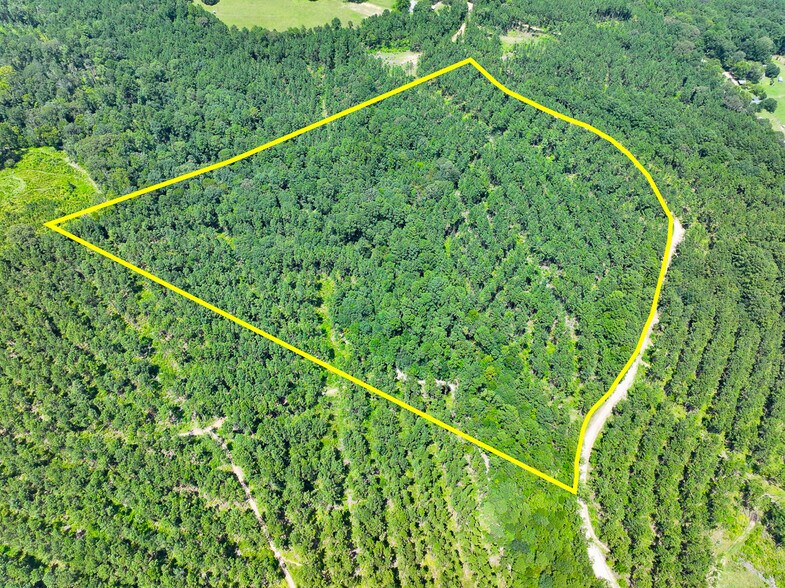 More Photos Of 0 Slim Palmer Road, Zavalla Land For Sale