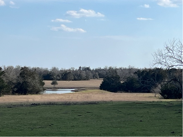 More Photos Of 2456 W Old Lockhart Rd, West Point Land For Sale