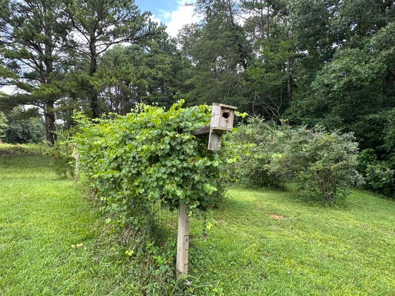 More Photos Of 7312 Highway 60, Georgetown Land For Sale