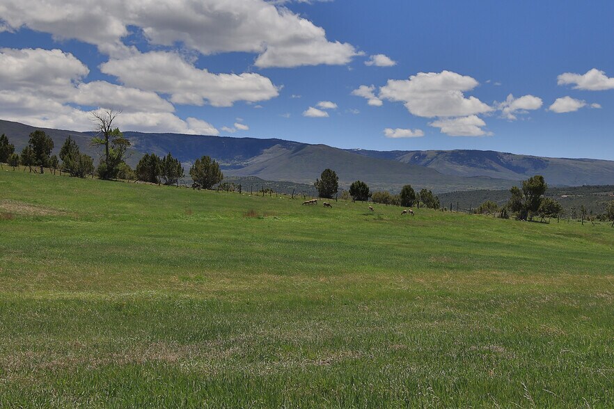 More Photos Of 57191 Me Rd, Collbran Land For Sale