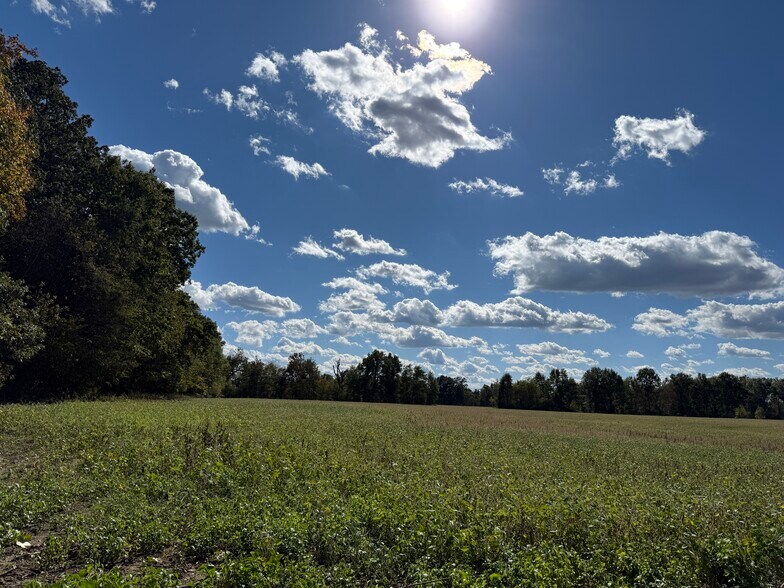 More Photos Of 6423 IL-184, Royalton Land For Sale