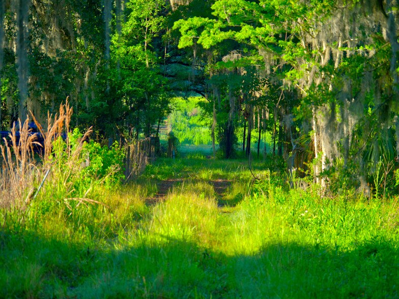 More Photos Of 3267 Neff Lake Rd, Brooksville Land For Sale