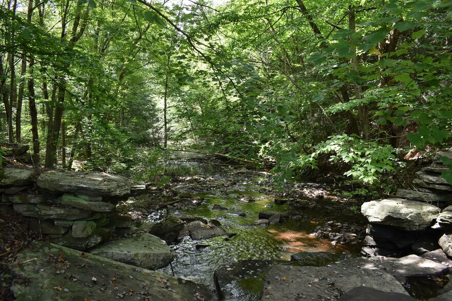 More Photos Of 2276 Old Route 17, Windsor Township Specialty For Sale