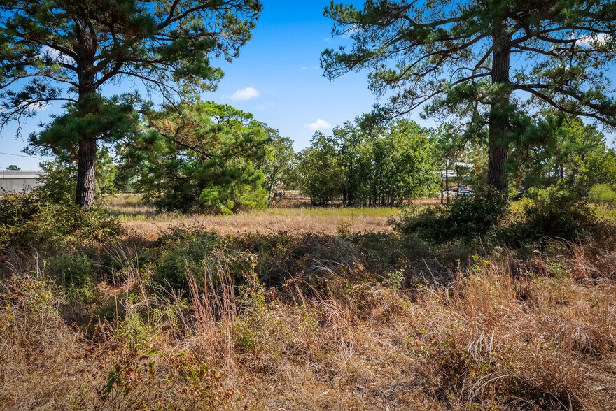 More Photos Of 3999 State 71 hwy, Bastrop Land For Sale