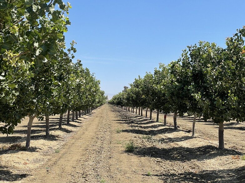 Primary Photo Of 45900 Block Shields Ave, Firebaugh Land For Sale