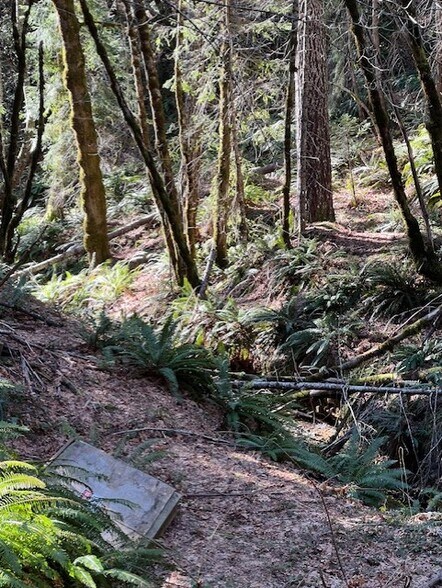More Photos Of Highway 199, Crescent City Land For Sale