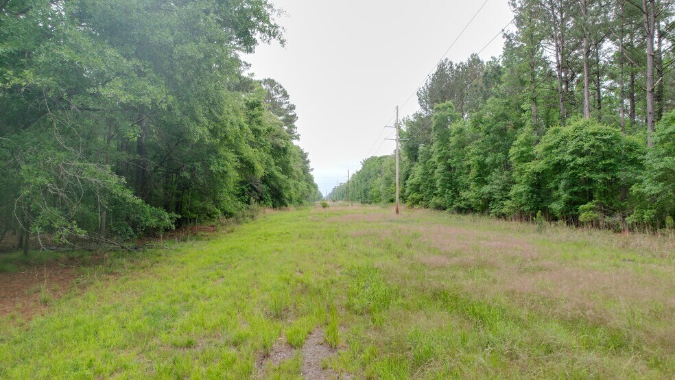 More Photos Of , Reevesville Land For Sale