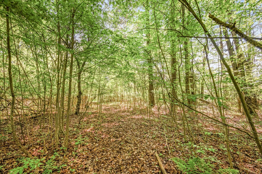 More Photos Of V/L 220th Ave, Big Rapids Land For Sale