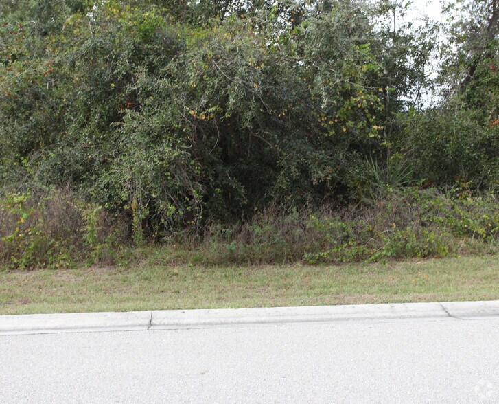 Primary Photo Of , North Port Land For Sale