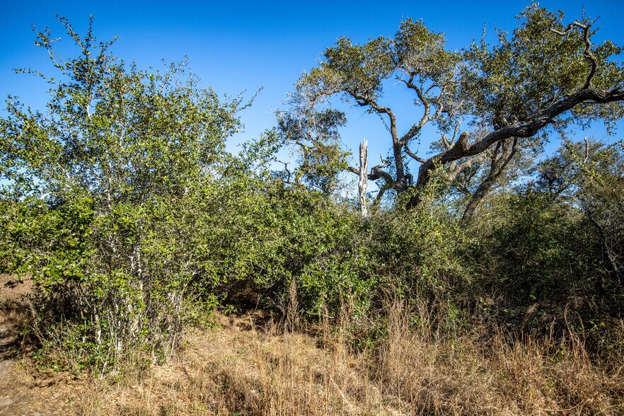 More Photos Of 6498 Highway 35 North, Rockport Land For Sale