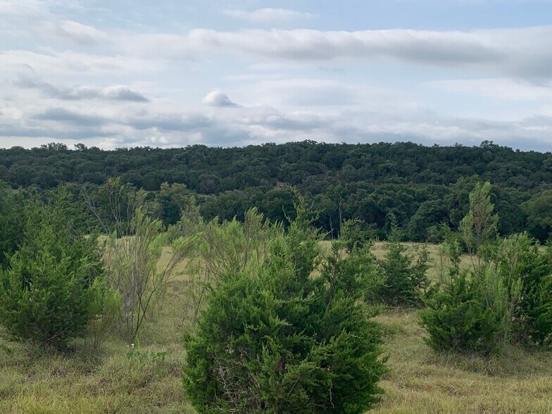 11435 Fm 32, Fischer, TX 78623 Land For Sale