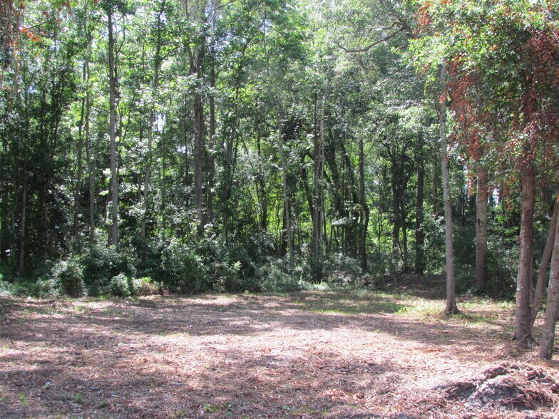 More Photos Of 590 Robert Smalls Pkwy, Beaufort Land For Sale