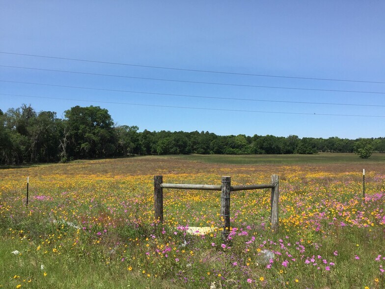 More Photos Of US Hwy 129, Live Oak Land For Sale