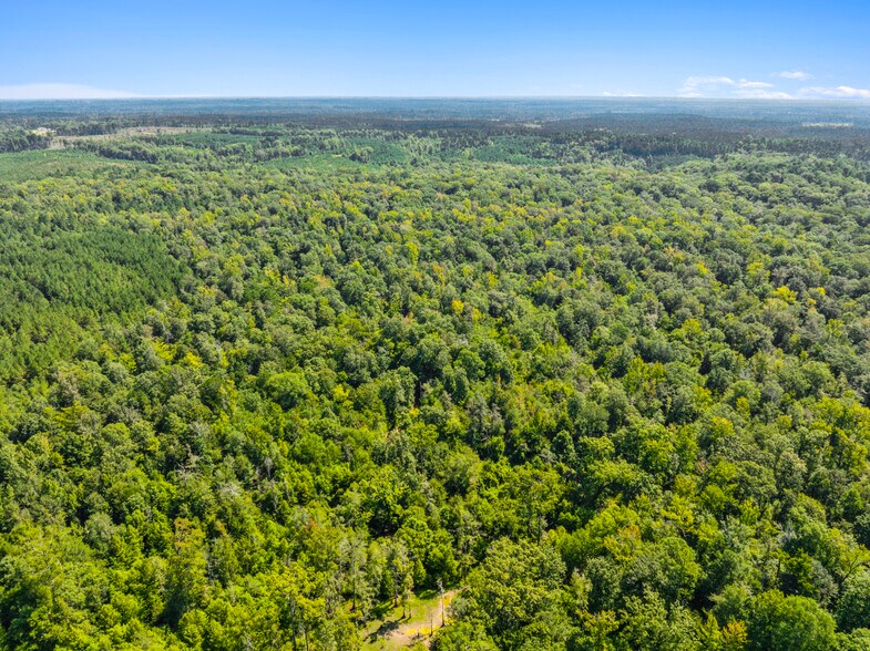 More Photos Of 7471 Highway 155, Saline Land For Sale