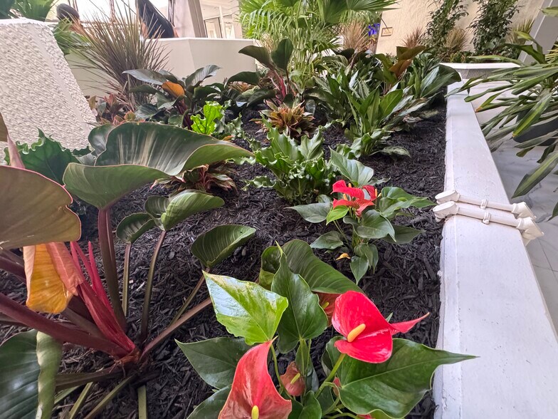 More Photos Of 1200 N Federal Hwy, Boca Raton Office For Lease