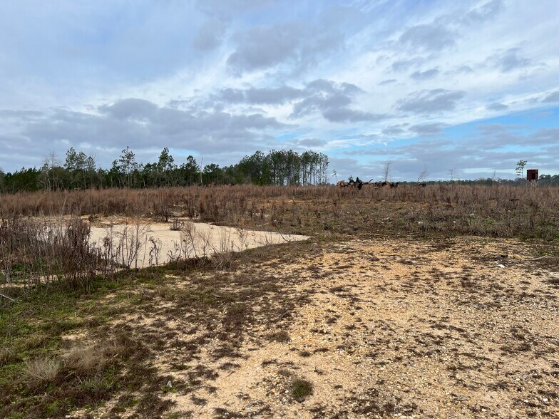 More Photos Of 4149 Highway 24 W, Mccomb Land For Sale