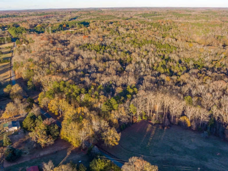 More Photos Of 0 Marshall Tucker Rd, Pauline Land For Sale