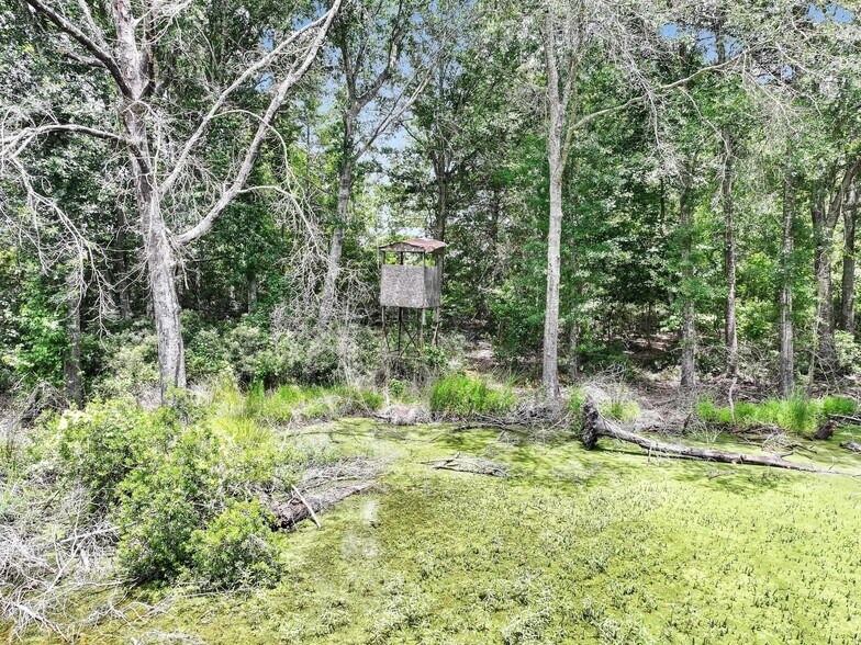 More Photos Of 8323 County Road 292, Buffalo Land For Sale