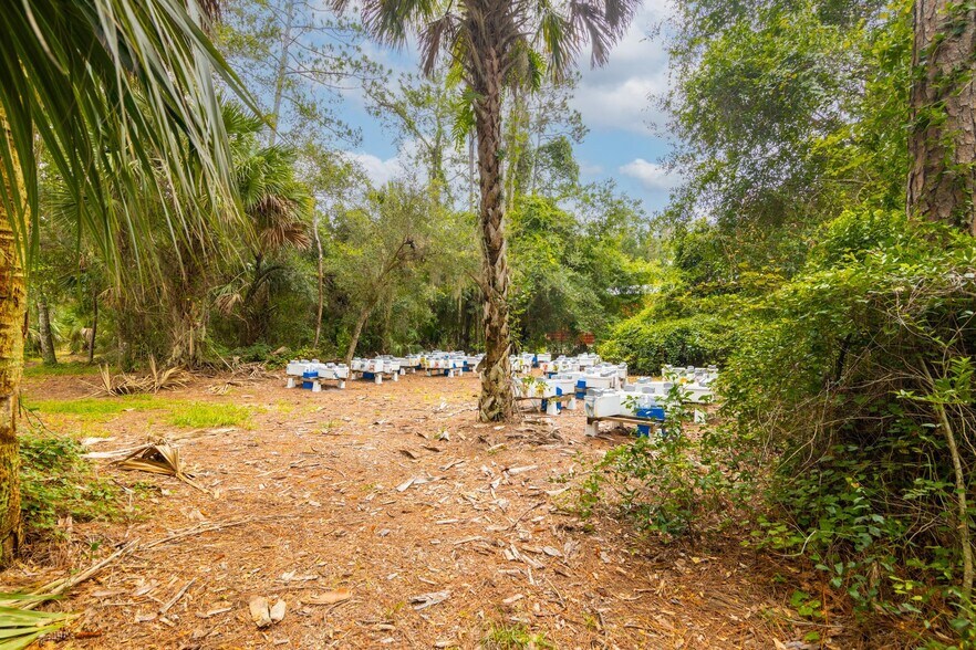 More Photos Of 651 Ingham Rd, New Smyrna Beach Land For Sale