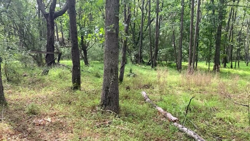 More Photos Of Turkey Foot Rd & Jones Ln, North Potomac Land For Sale