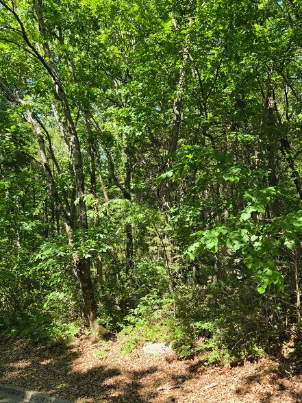 More Photos Of 11000 Skylark SE dr, Huntsville Land For Sale