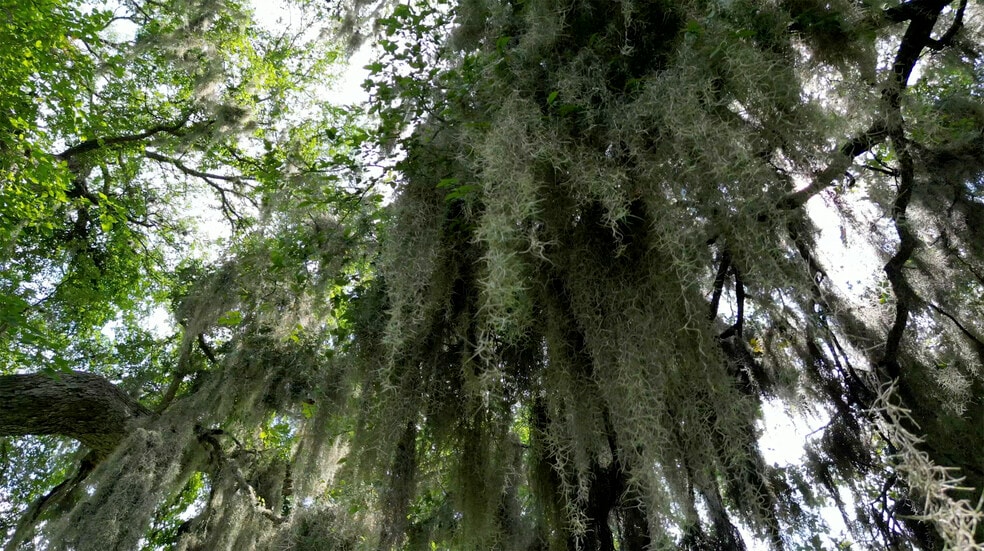 More Photos Of 2550 York Creek Rd, New Braunfels Land For Sale