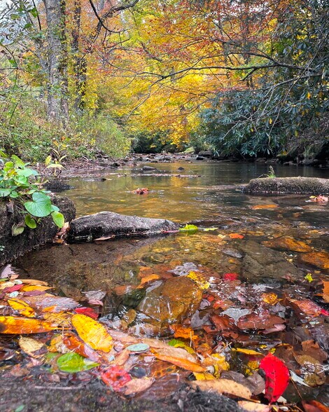 More Photos Of 76 S Toe River Rd, Burnsville Hotel For Sale