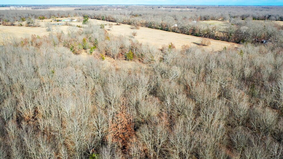 More Photos Of 1200 County 1255 rd, Detroit Land For Sale