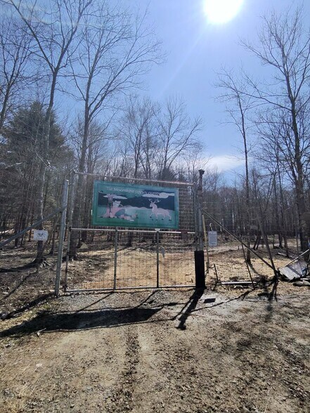 More Photos Of 127 Blum Rd, Equinunk Land For Sale