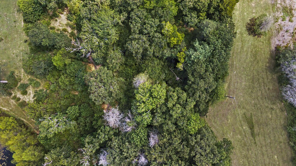 More Photos Of 14610 TX-21, North Zulch Land For Sale