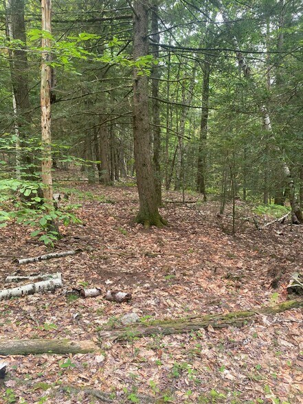 More Photos Of Daggett Hill (TM R16-3) Rd, Westmoreland Land For Sale