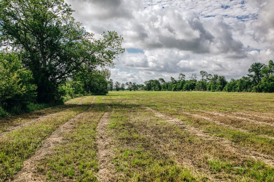 More Photos Of TBD FM 60, Snook Land For Sale