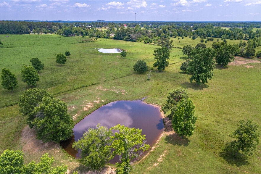 More Photos Of 17104 County Road 1100, Flint Land For Sale