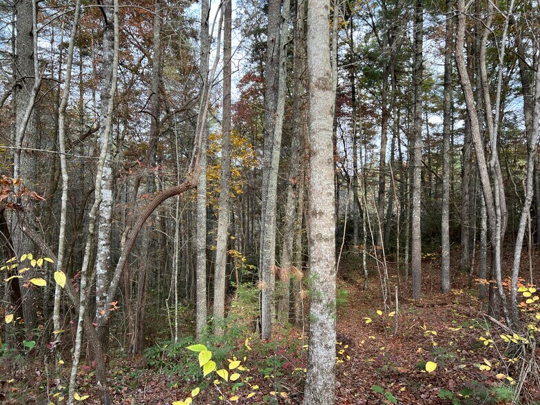 More Photos Of Whitecliff Drive, Ellijay Land For Sale