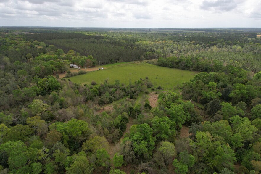 More Photos Of 12960 County Road 48, Silverhill Land For Sale