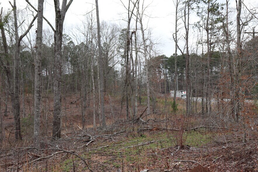 More Photos Of Knox Bridge Hwy @ Knox Bridge & Ficklen Church Hwy, Canton Land For Sale