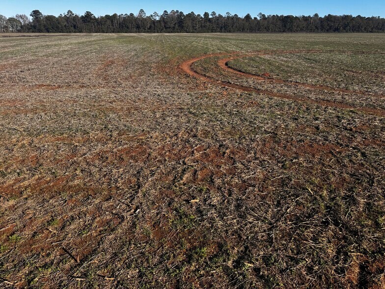 More Photos Of 0 Wiggins Road, Frisco City Land For Sale