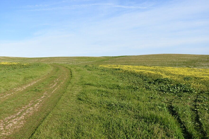 More Photos Of Road 33 @ Road D, Artois Land For Sale