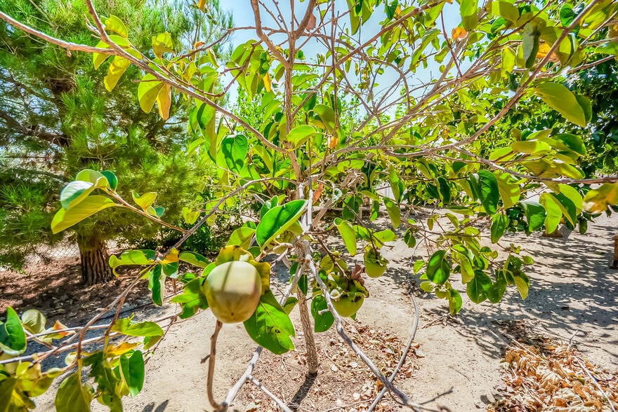 More Photos Of 13830 Paramount Rd, Phelan Land For Sale