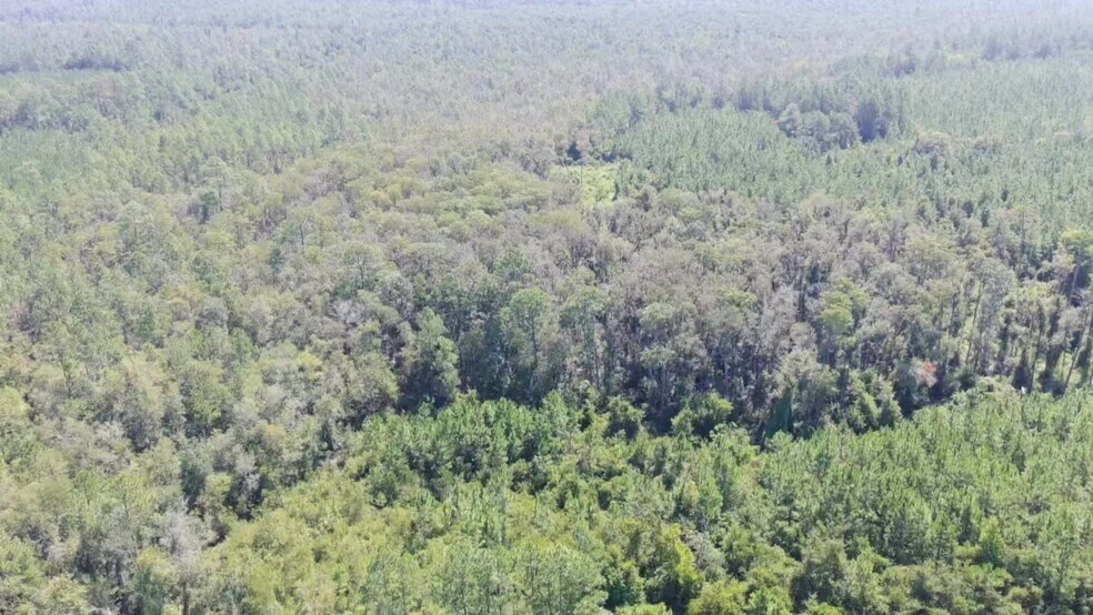 More Photos Of E/S of Pearson Highway at Cowart Road, Homerville Land For Sale