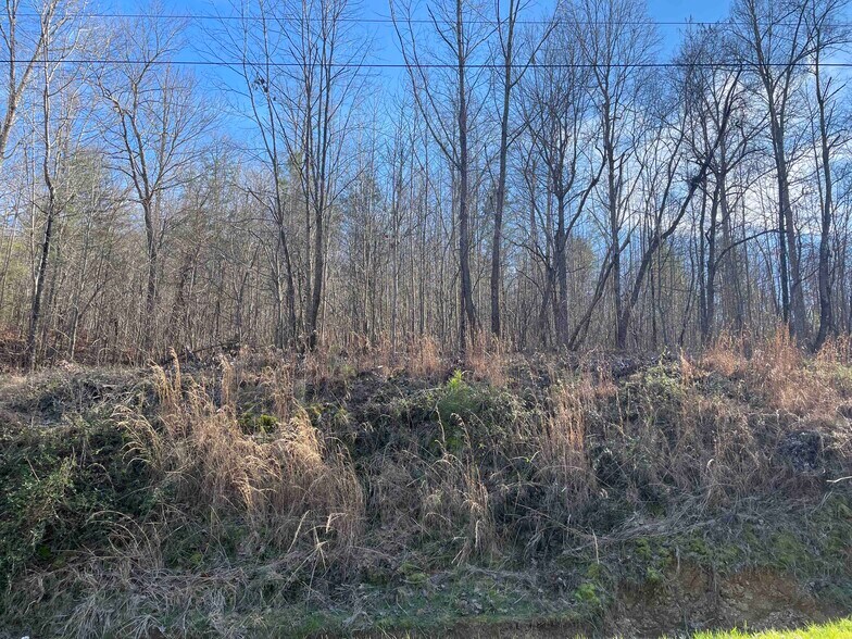 More Photos Of Rockfence Rd, Adairsville Land For Sale