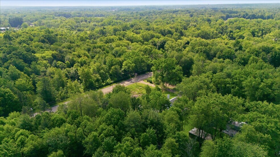 More Photos Of Pinehardt Road, Angola Land For Sale