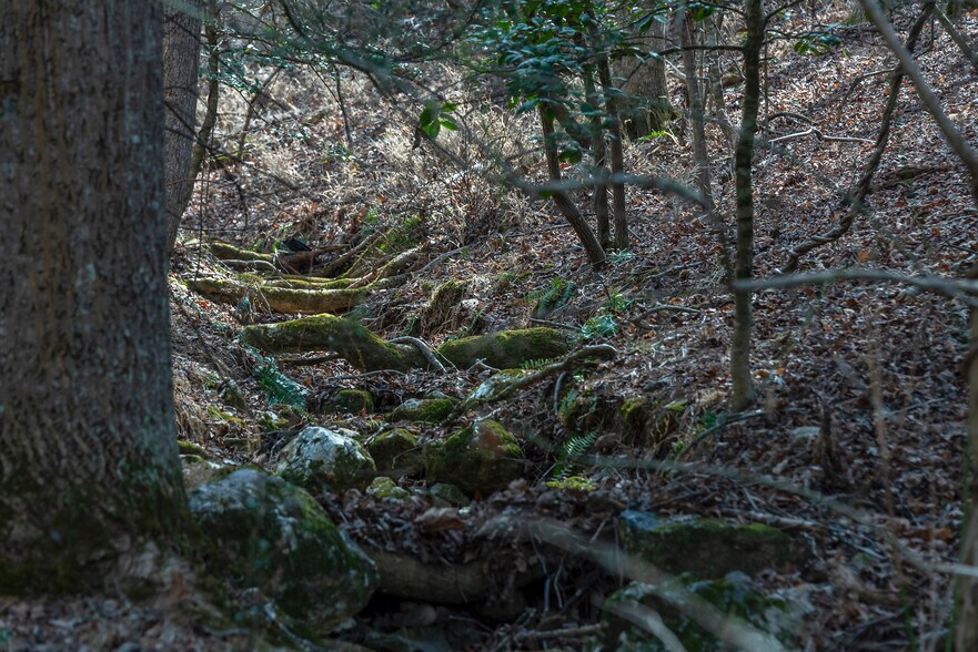 More Photos Of 1720 Brevard Rd, Arden Land For Sale