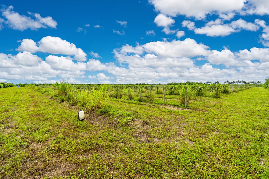 More Photos Of SW 228th Ave @ SW 227th Ave, Homestead Land For Sale